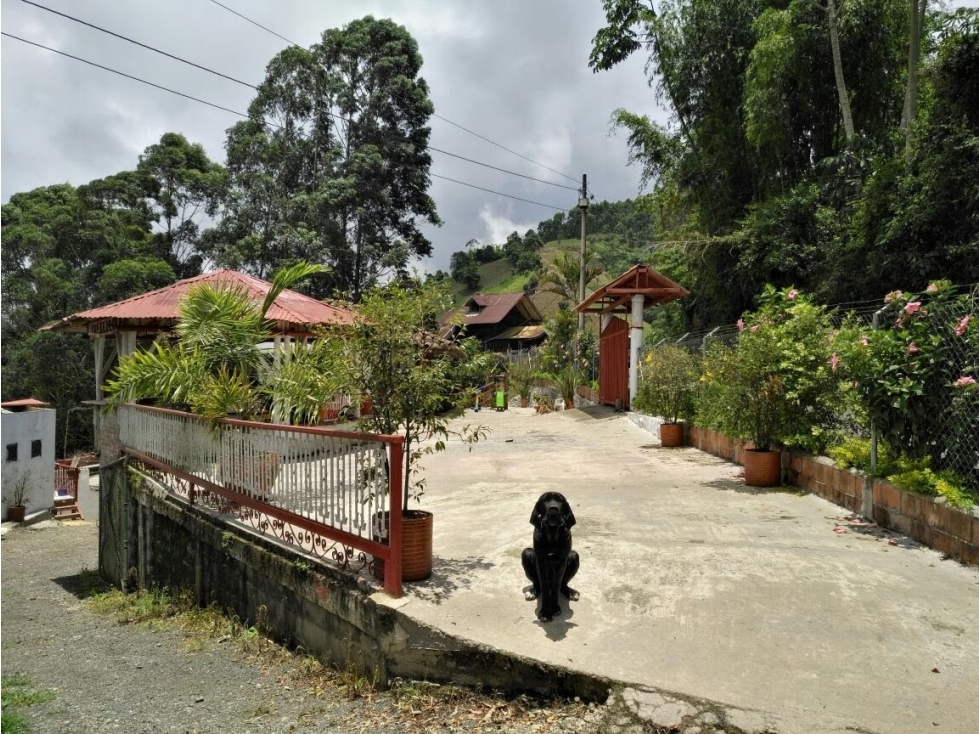 Venta finca Pereira — foto 5