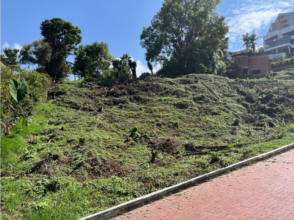 Venta Lote Tejares, Barrio el Trebol, Manizales — foto 4