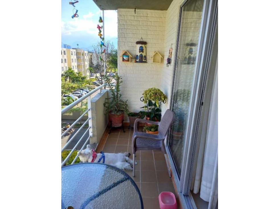 VENDO APARTAMENTO 5TO PISO C/A REMODELADO 9575565 MHG — foto 4