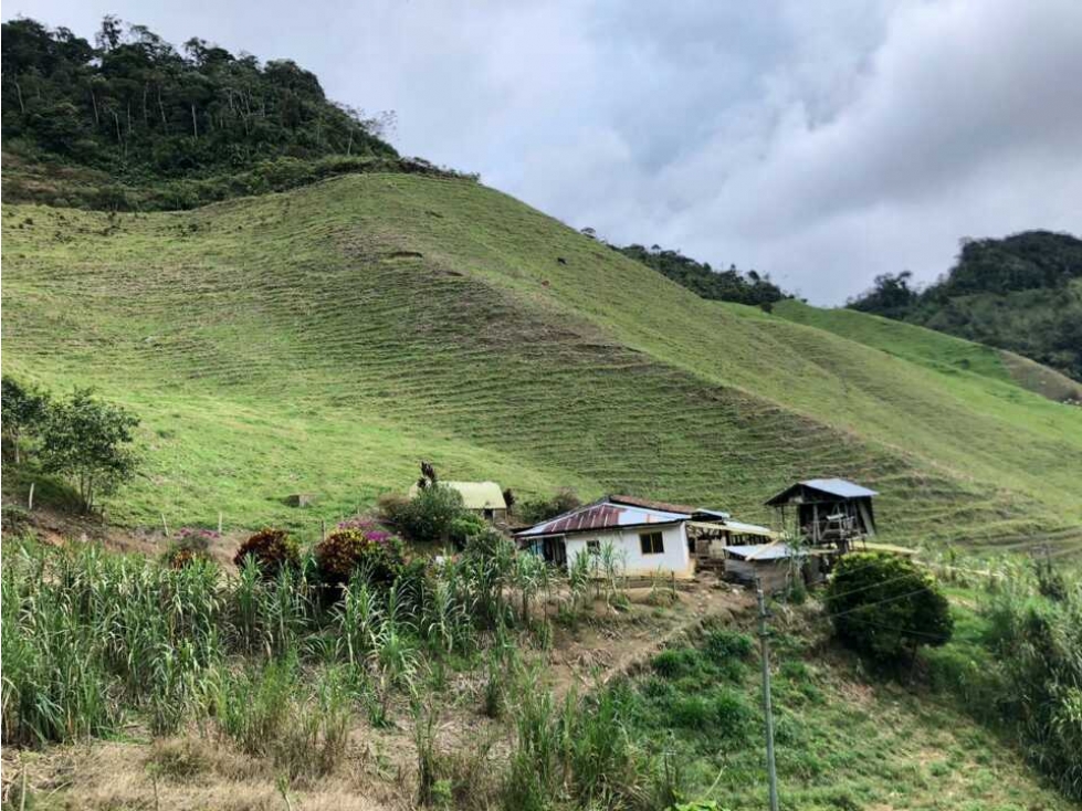 VENDO FINCA GANADERA EN VERSALLES. W6821913 L. G