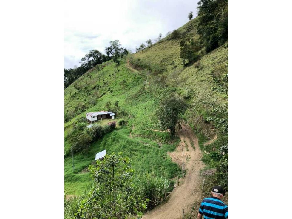VENDO FINCA GANADERA EN VERSALLES. W6821913 L. G — foto 4