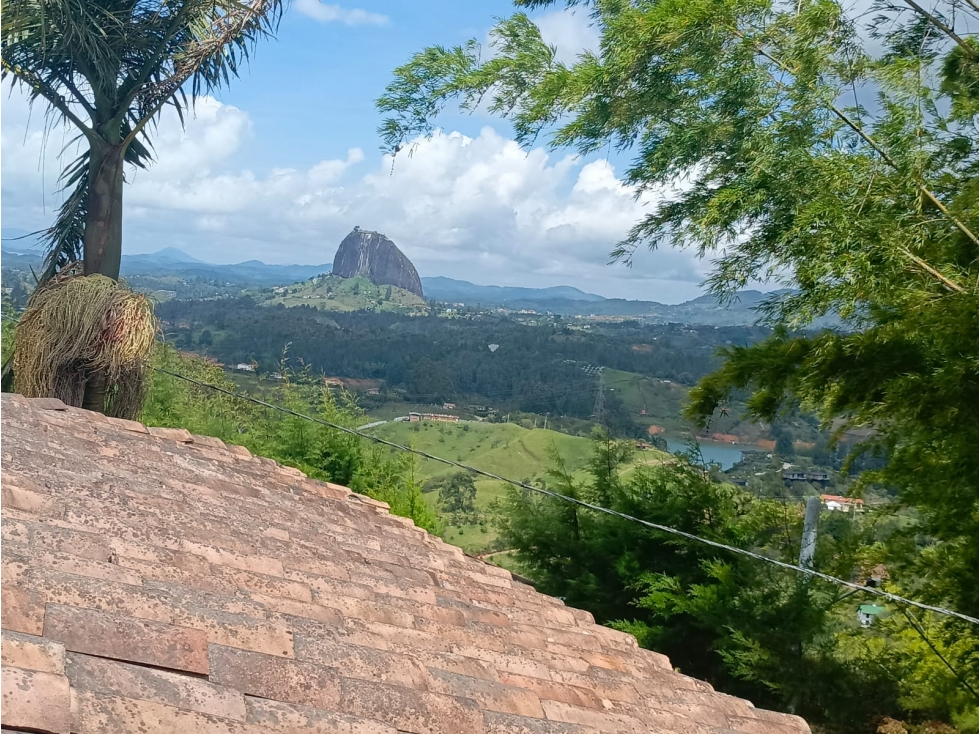 VENTA DE FINCA EN EL PEÑOL, PARAJE EL CHILCO - 1