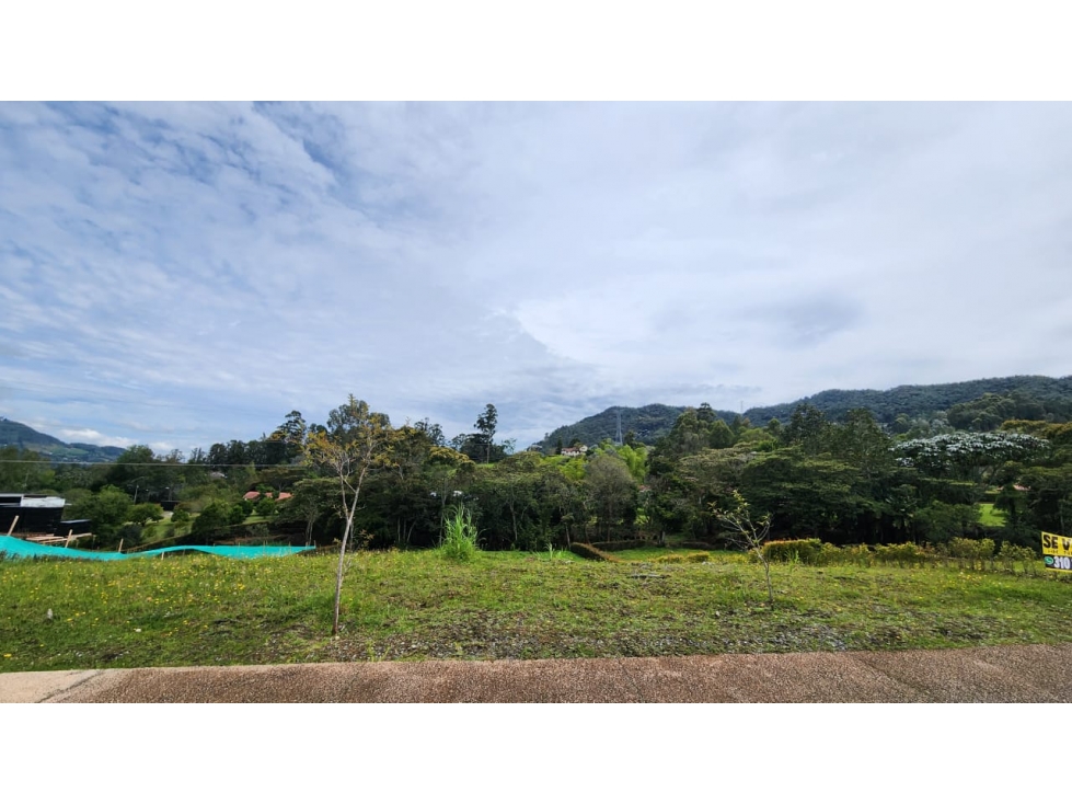 VENTA DE LOTE EN RESERVA SILVESTRE - VEREDA EL YARUMO