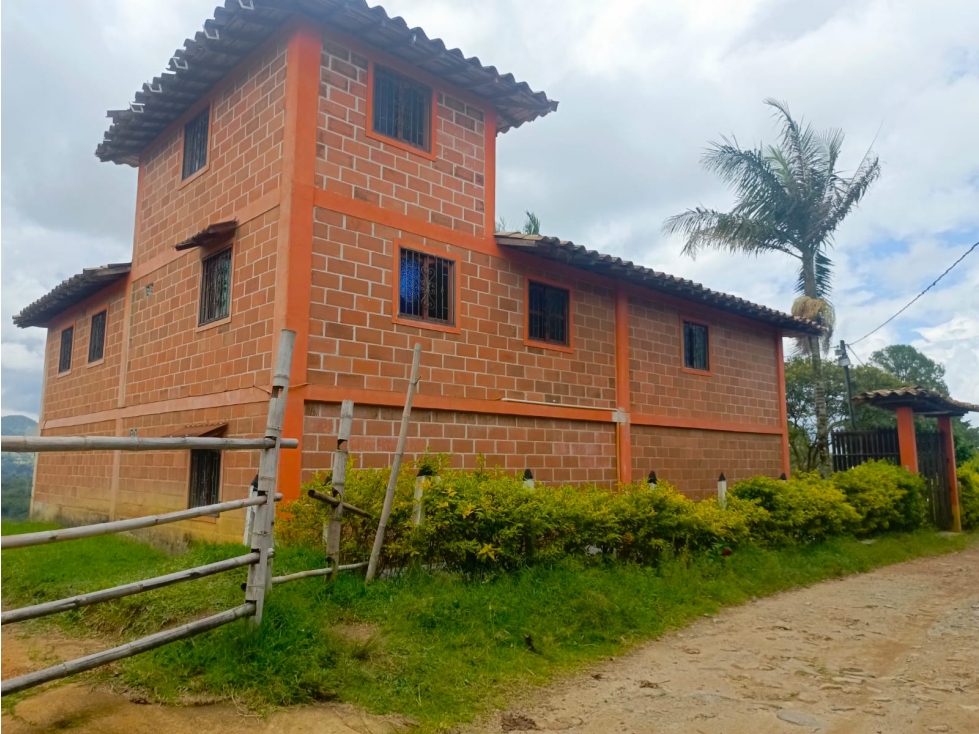 VENTA DE FINCA EN EL PEÑOL, PARAJE EL CHILCO - 2