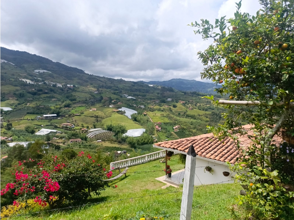 VENTA DE FINCA EN EL PEÑOL, PARAJE EL CHILCO - 4