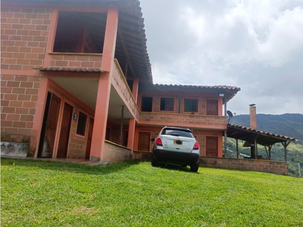 VENTA DE FINCA EN EL PEÑOL, PARAJE EL CHILCO - 5