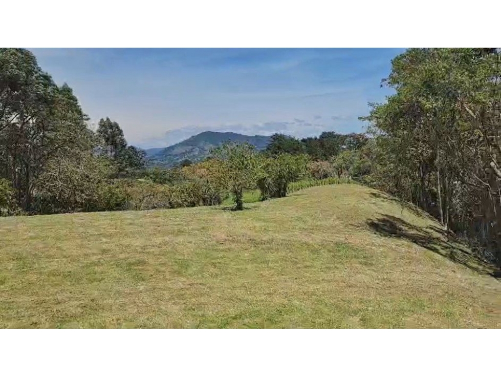 VENTA DE LOTE RESERVA SILVESTRE EN LA CEJA, VEREDA EL YARUMO — foto 5