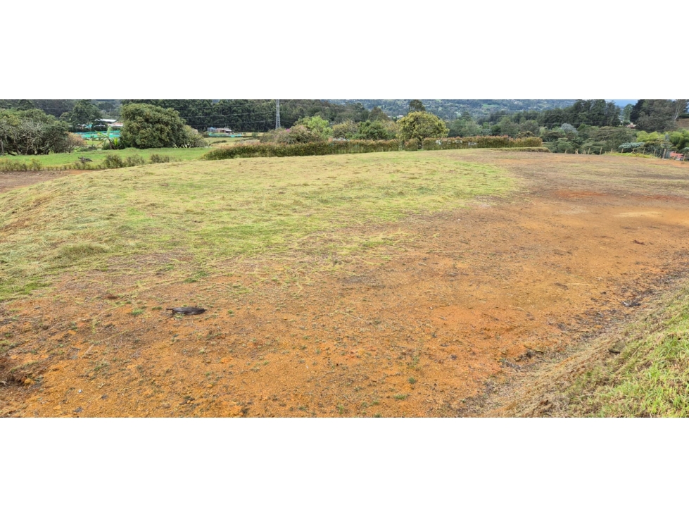 VENTA DE LOTE RESERVA SILVESTRE EN LA CEJA, VEREDA EL YARUMO — foto 3