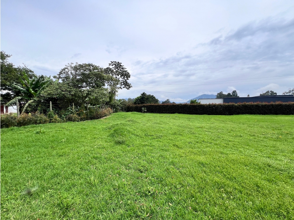 VENTA DE LOTE RESERVA SILVESTRE EN LA CEJA, VEREDA EL YARUMO — foto 5