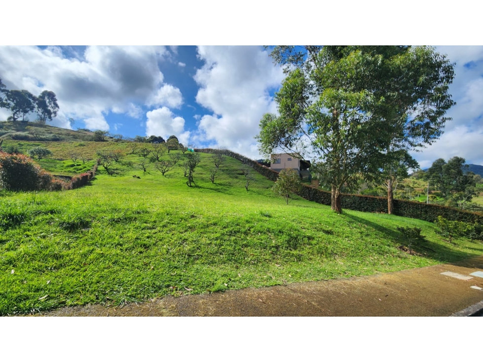VENTA DE LOTE EN RESERVA SILVESTRE - VEREDA EL YARUMO — foto 2