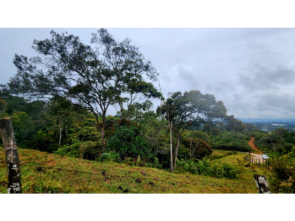 LOTES CON HERMOSA VISTA ACCESO A QUEBRADA VIA LA SAN ANTONIO LA CEJA — foto 4