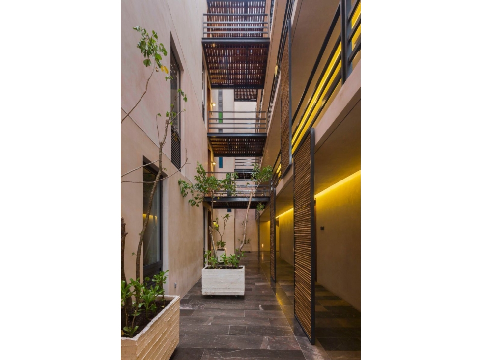 APARTAMENTO SABOR A MIEL EN PLAYA EL CARMEN — foto 6