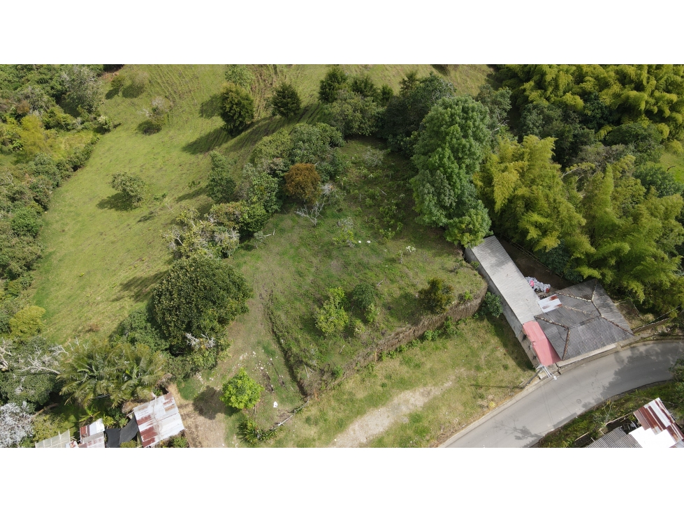 En Venta Lote Urbano Salento - 1