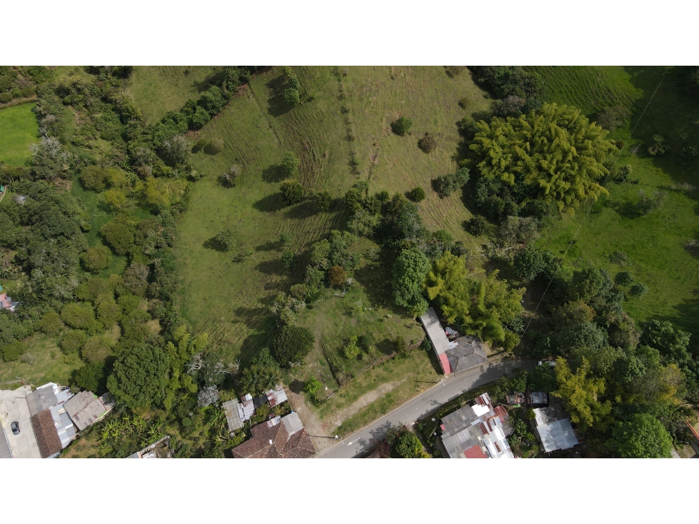 En Venta Lote Urbano Salento - 6