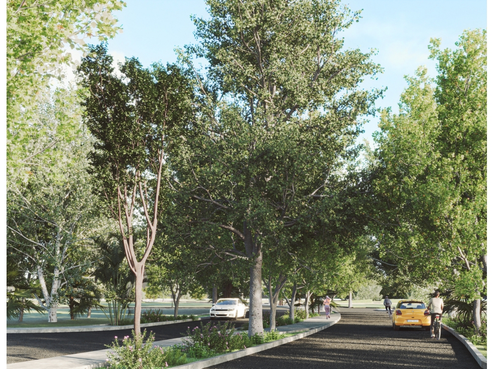 TERRENO PREMIUM SAVIA, MERIDA YUCATAN — foto 6