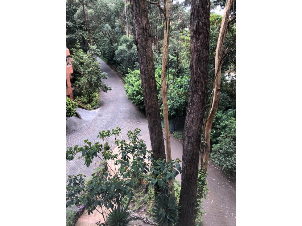 APARTAMENTO EN VENTA, ROSALES, BOGOTÁ — foto 2