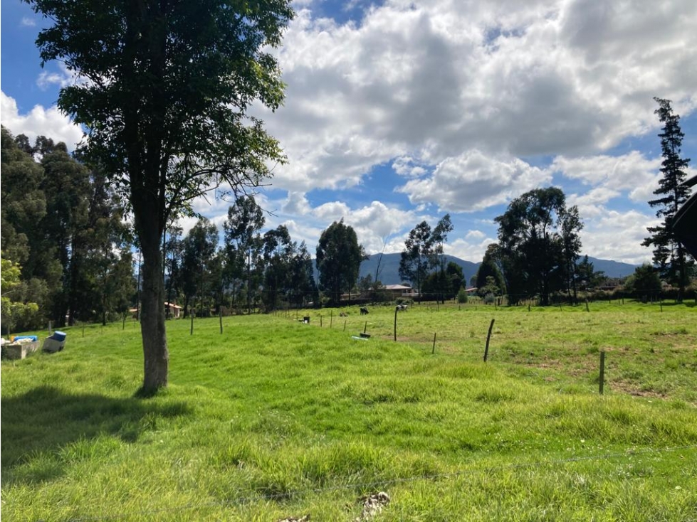 LOTE CON LICENCIA PARA LA VENTA, LA VALVANERA, CHIA, CUNDINAMARCA — foto 3
