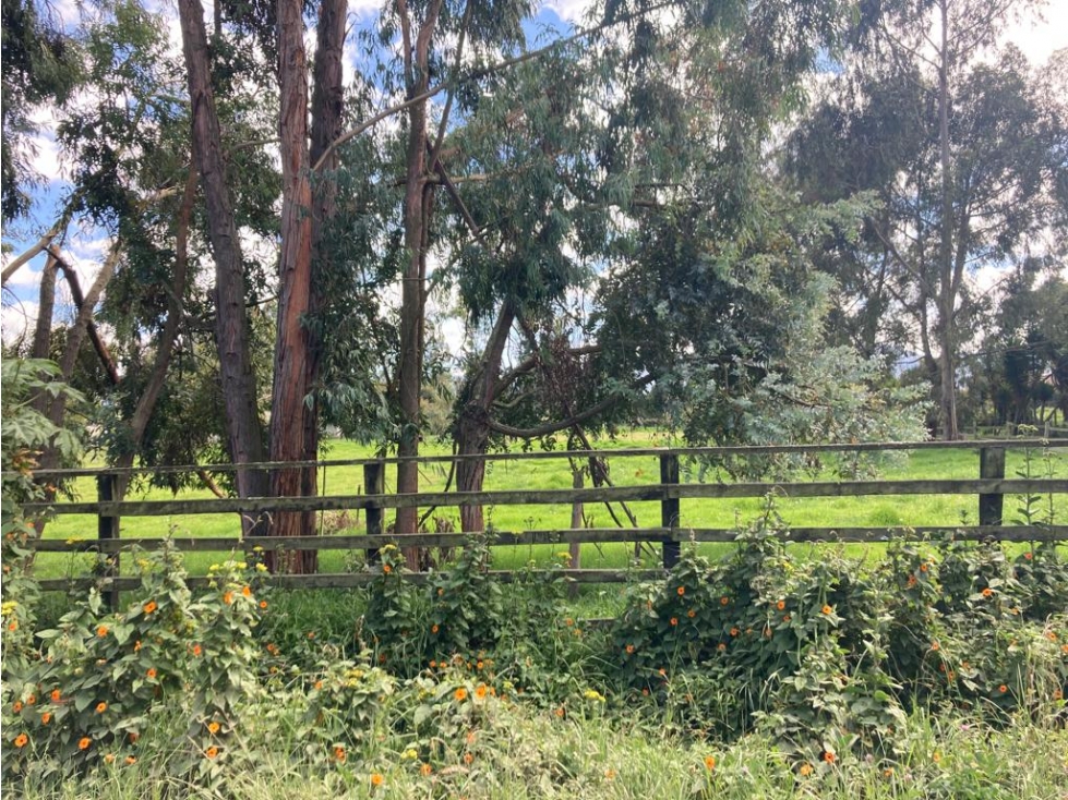 LOTE CON LICENCIA PARA LA VENTA, LA VALVANERA, CHIA, CUNDINAMARCA — foto 5