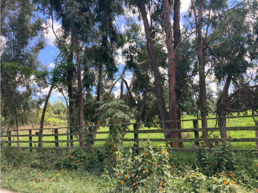 LOTE CON LICENCIA PARA LA VENTA, LA VALVANERA, CHIA, CUNDINAMARCA — foto 6