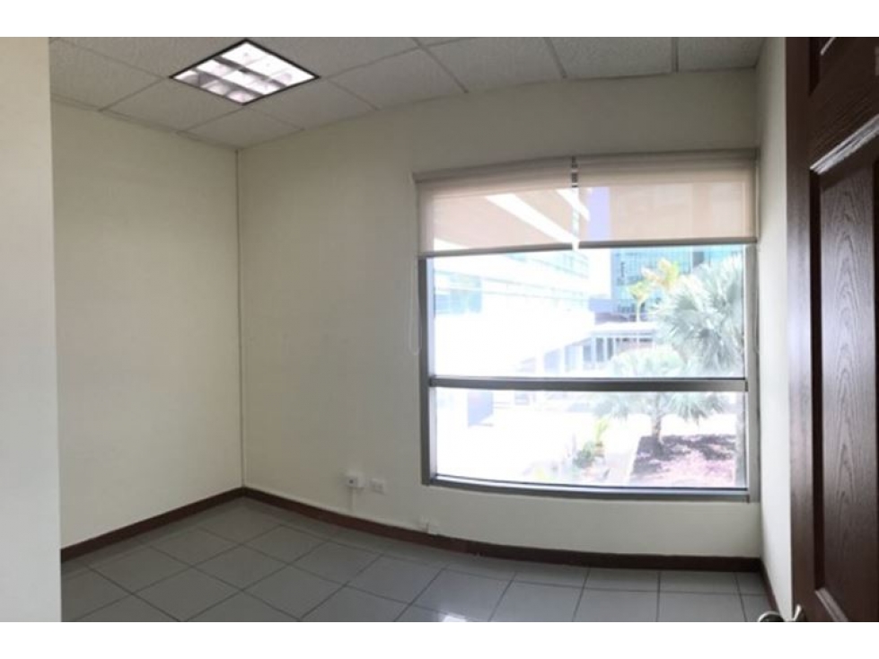 WORLD TRADE CENTER, San Salvador — foto 3