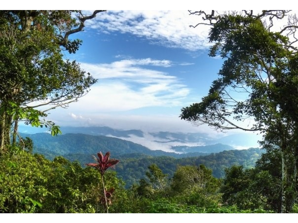 LOS ALTOS DE CERRO AZUL — foto 3
