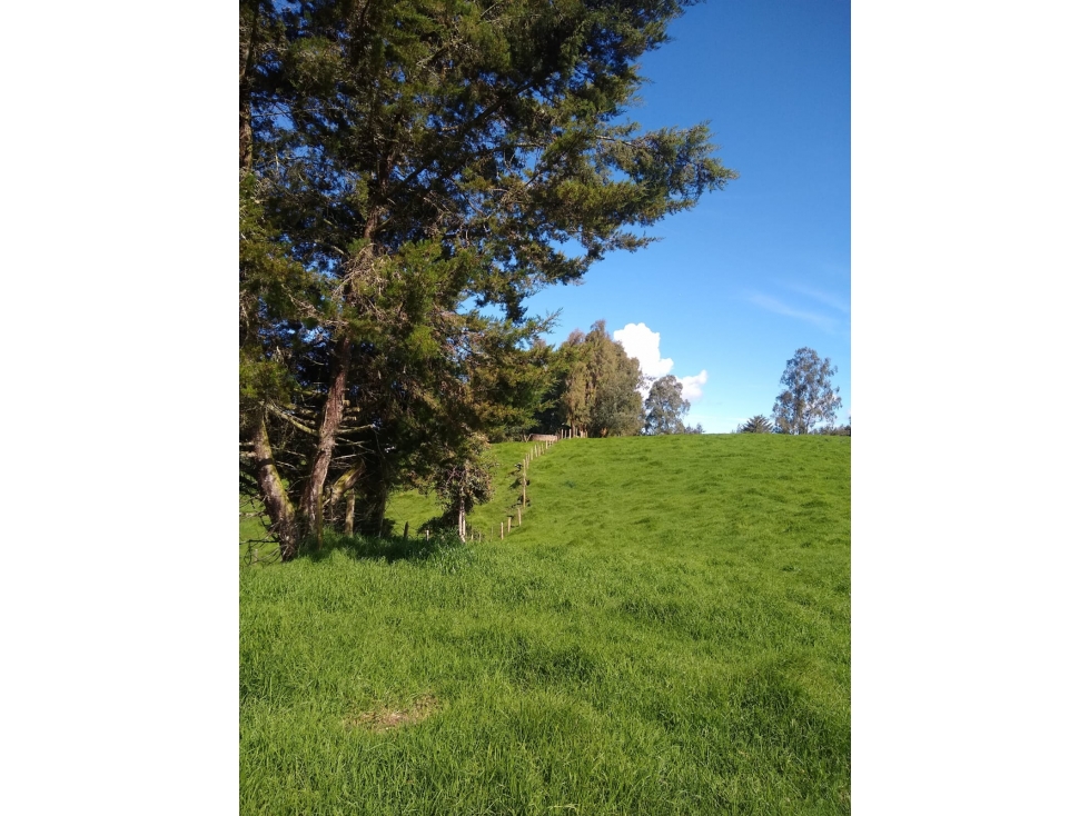 VENTA LOTE SAN PEDRO DE LOS MILAGROS