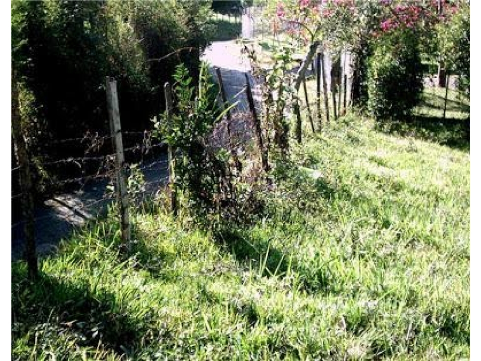 LOTE COPACABANA — foto 3