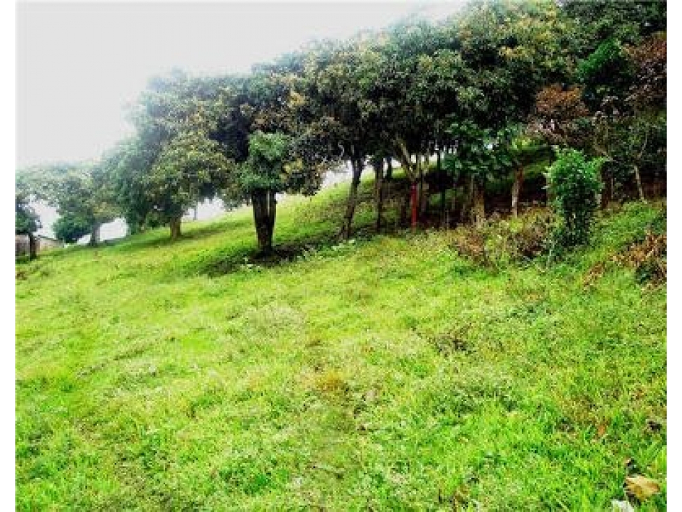 LOTE COPACABANA — foto 4