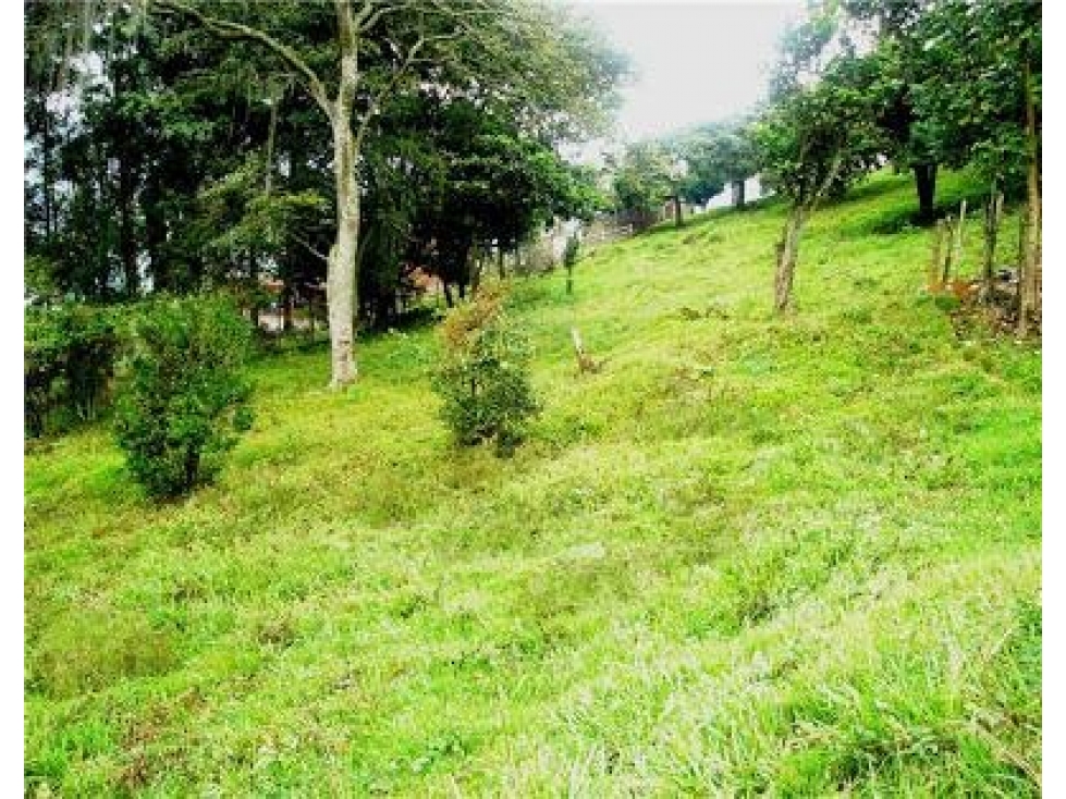 LOTE COPACABANA — foto 5