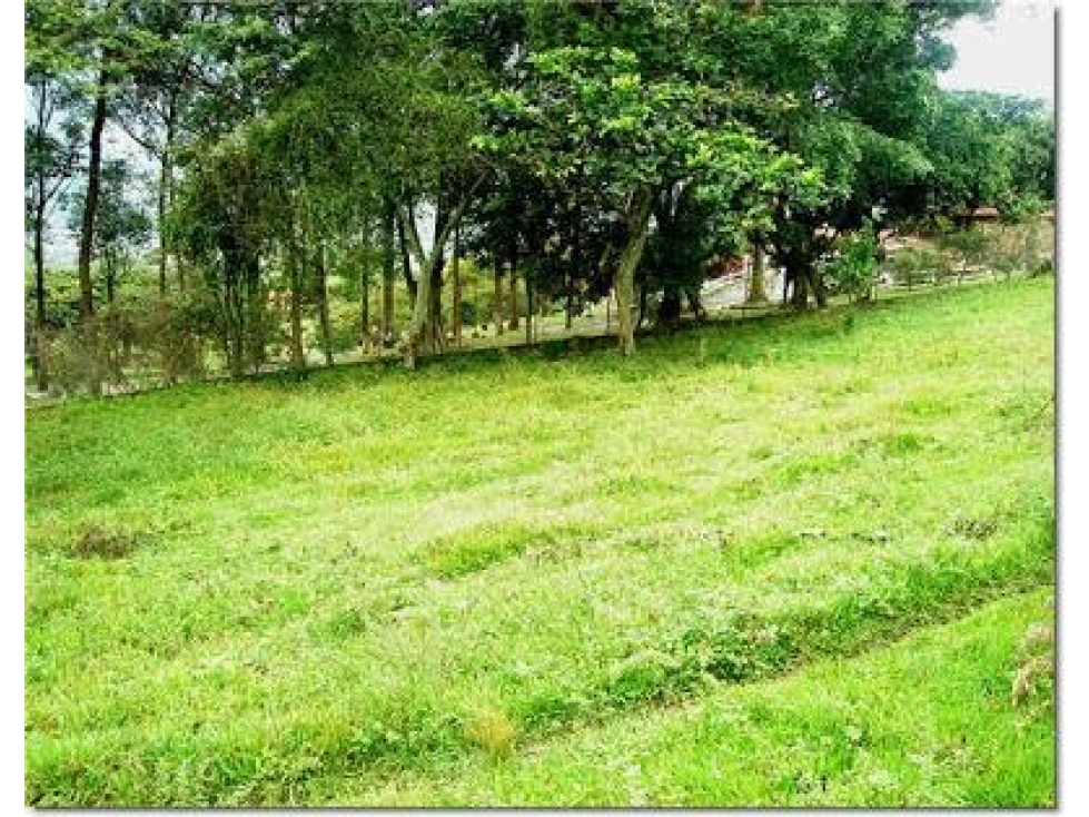 LOTE COPACABANA — foto 6