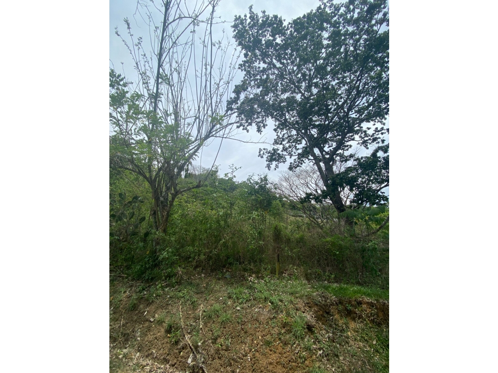 LOTE EN VENTA SOPETRAN — foto 5