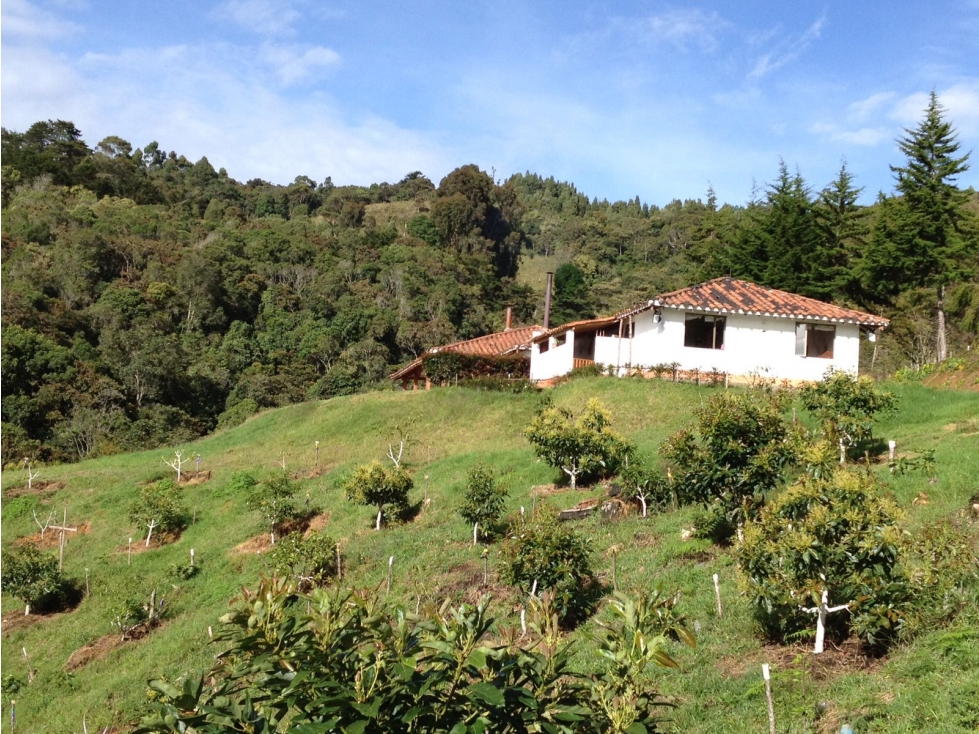 VENTA DE CASA DE CAMPO MAS LOTE EN VEREDA EL TABLAZO. Rionegro, Ant — foto 3