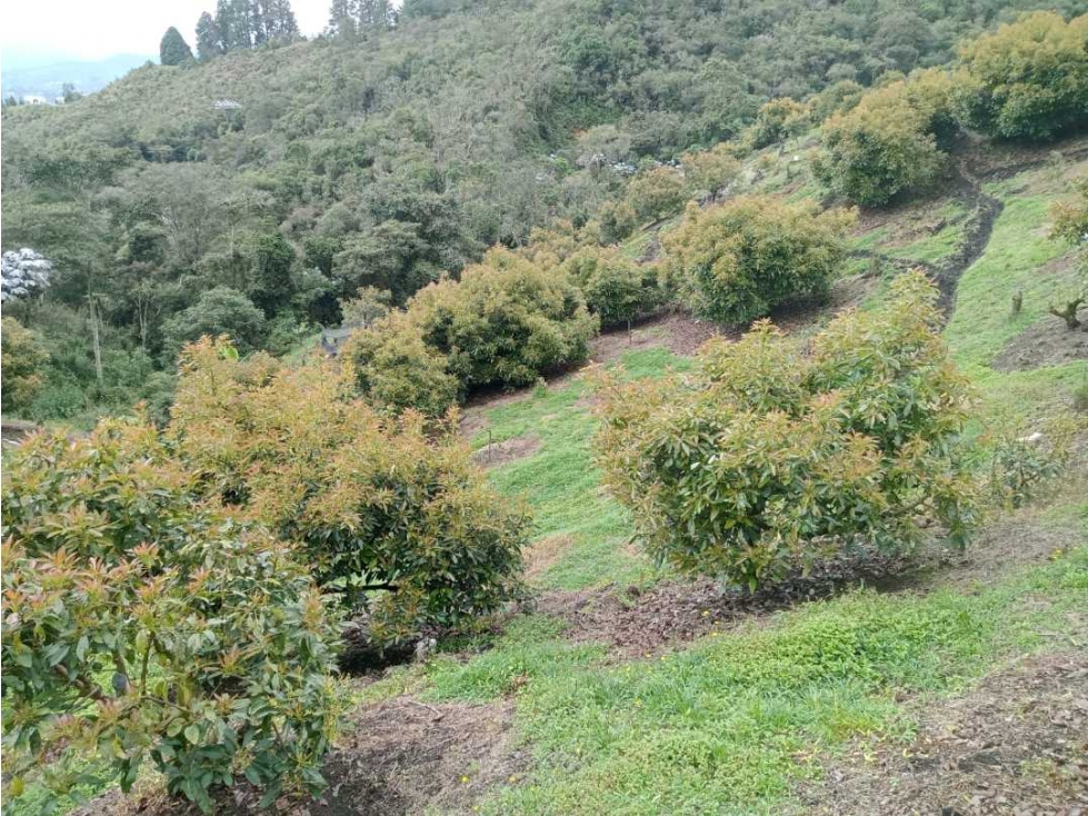 Venta de espectacular lote en.El Tablazo. Rionegro — foto 4