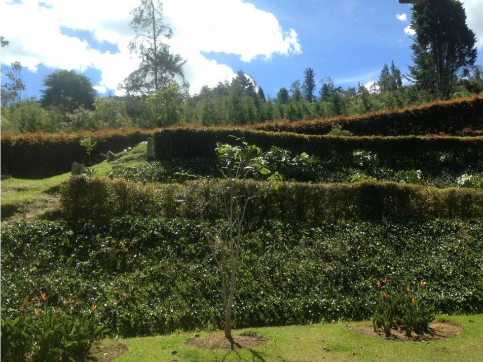 Venta de espectacular lote en.El Tablazo. Rionegro — foto 5