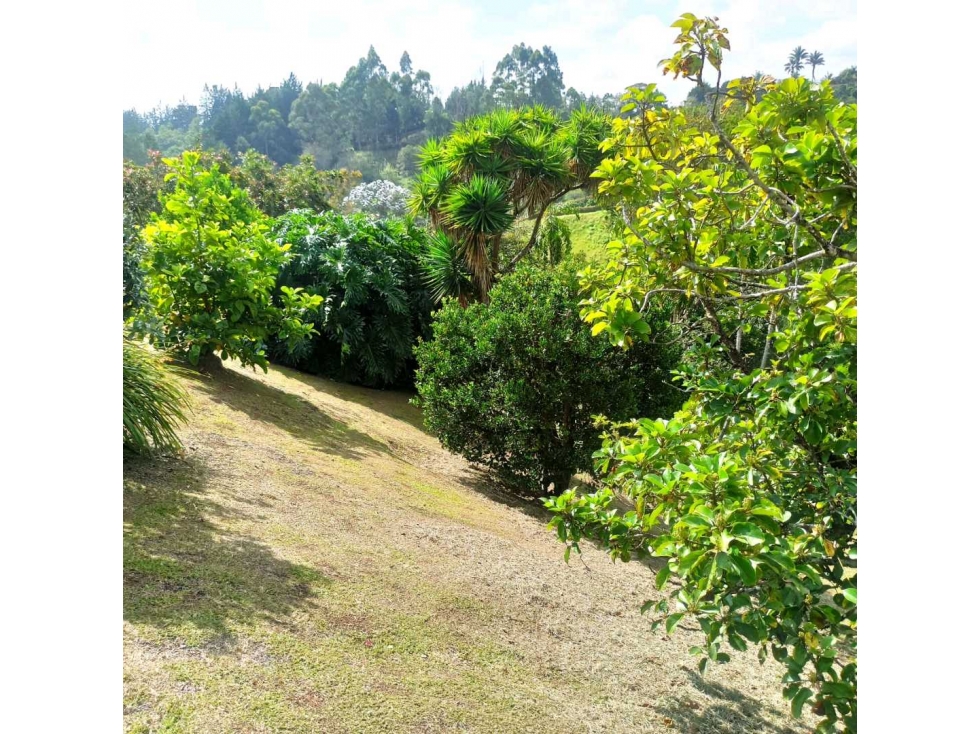 Lote en parcelación. Sector Llanogrande. Rionegro. Antioquia — foto 2