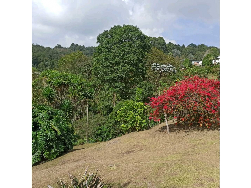 Lote en parcelación. Sector Llanogrande. Rionegro. Antioquia — foto 3