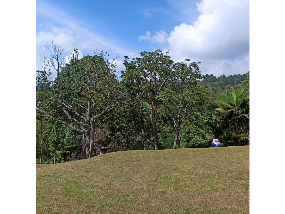 Lote en parcelación. Sector Llanogrande. Rionegro. Antioquia — foto 4