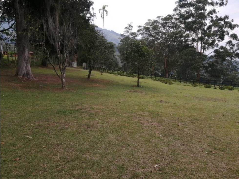 Venta Finca San Antonio de Prado. Excelente oportunidad. 29.86 cuadras — foto 5