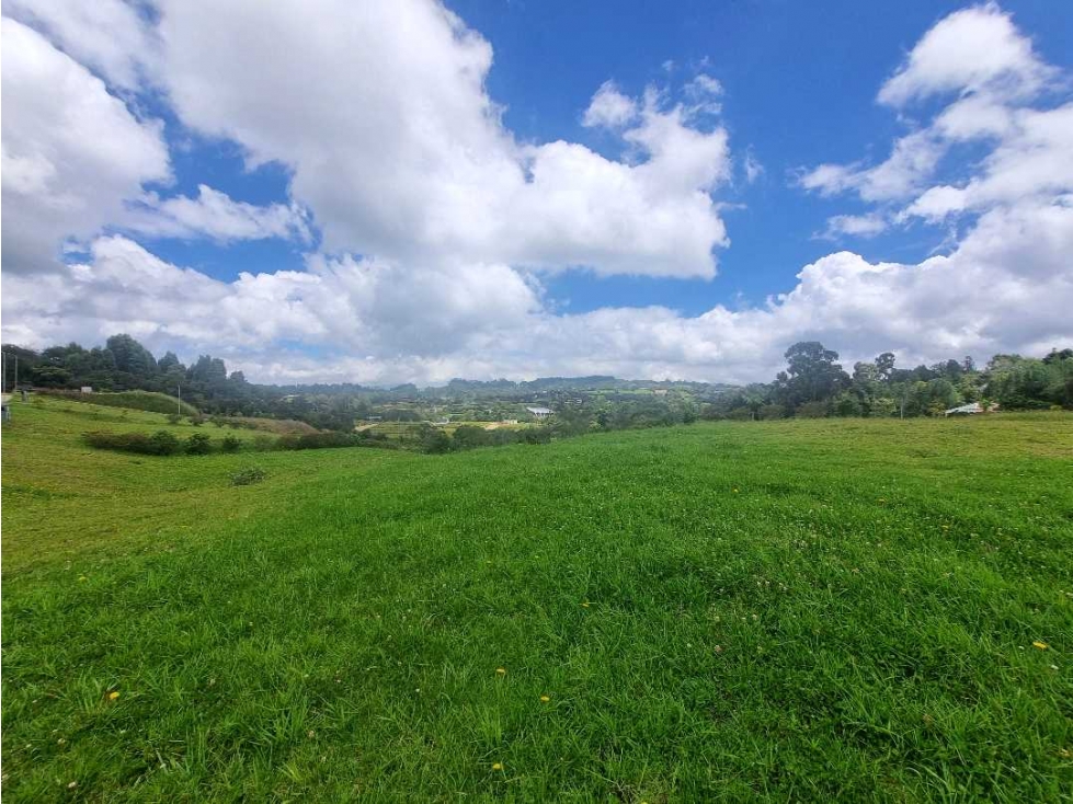 Venta lote en Parcelación Alto de Palmas. Envigado — foto 5