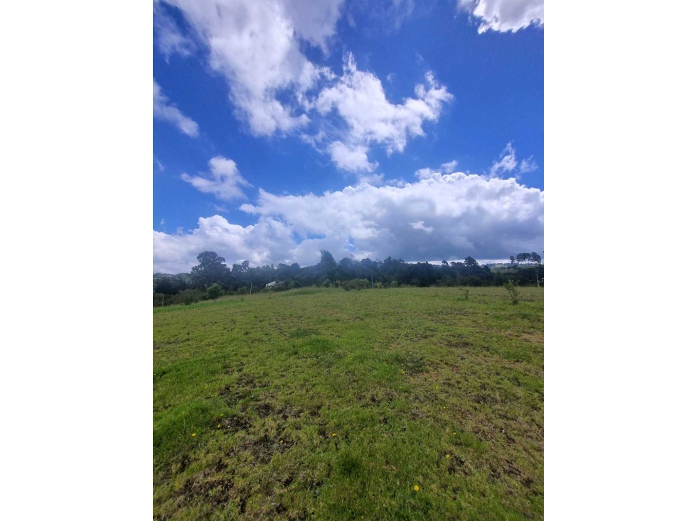 Venta de Lote en Parcelación. Sector La Acuarela. Alto De Palmas — foto 5