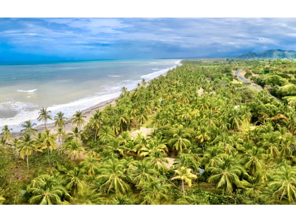 ESPECTACULAR HOTEL EN PALOMINO CON 100 MTS DE FRENTE DE PLAYA-VENTA - 1