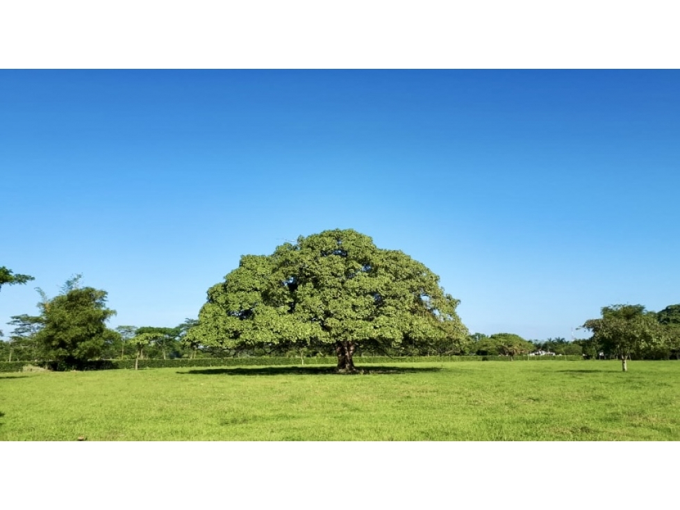 FINCA EN RESTREPO-LLANOS-SE PUEDE VENDER POR LOTES-6-CON MATRICULA - 2