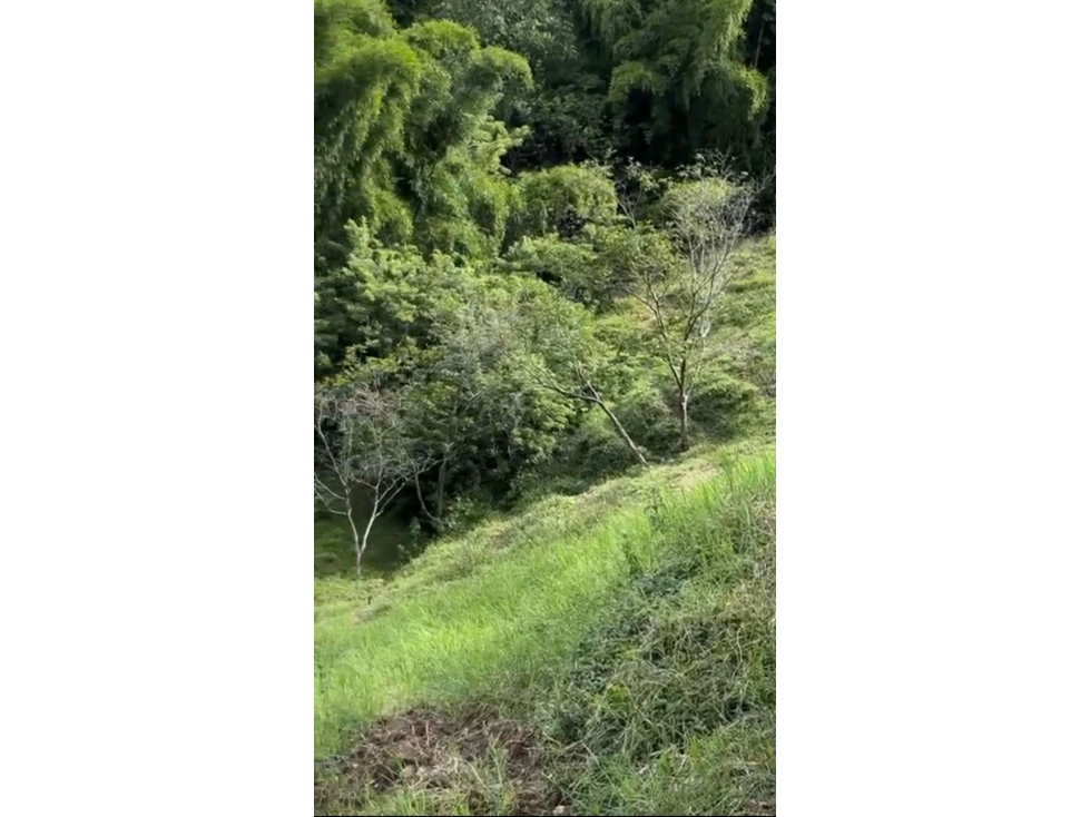Lote en Venta, Parcelación La Siria, Amagá, Suroeste Antioqueño - 4
