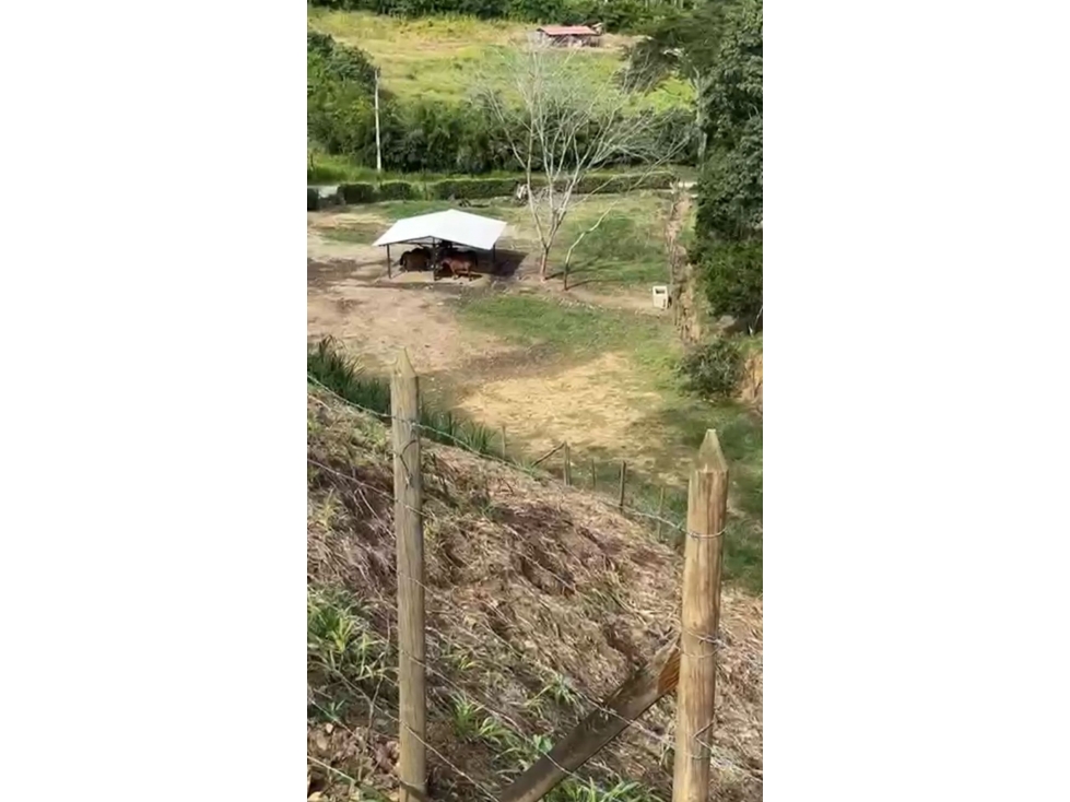 Lote en Venta, Parcelación La Siria, Amagá, Suroeste Antioqueño - 5