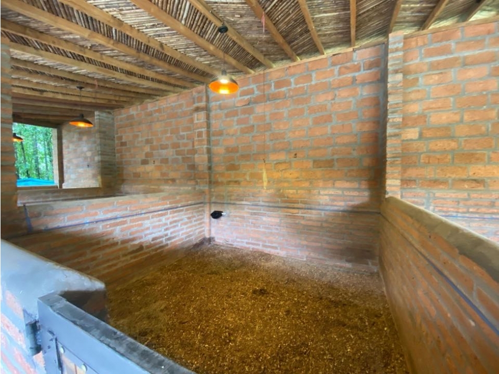 Finca en venta en san Jerónimo — foto 4