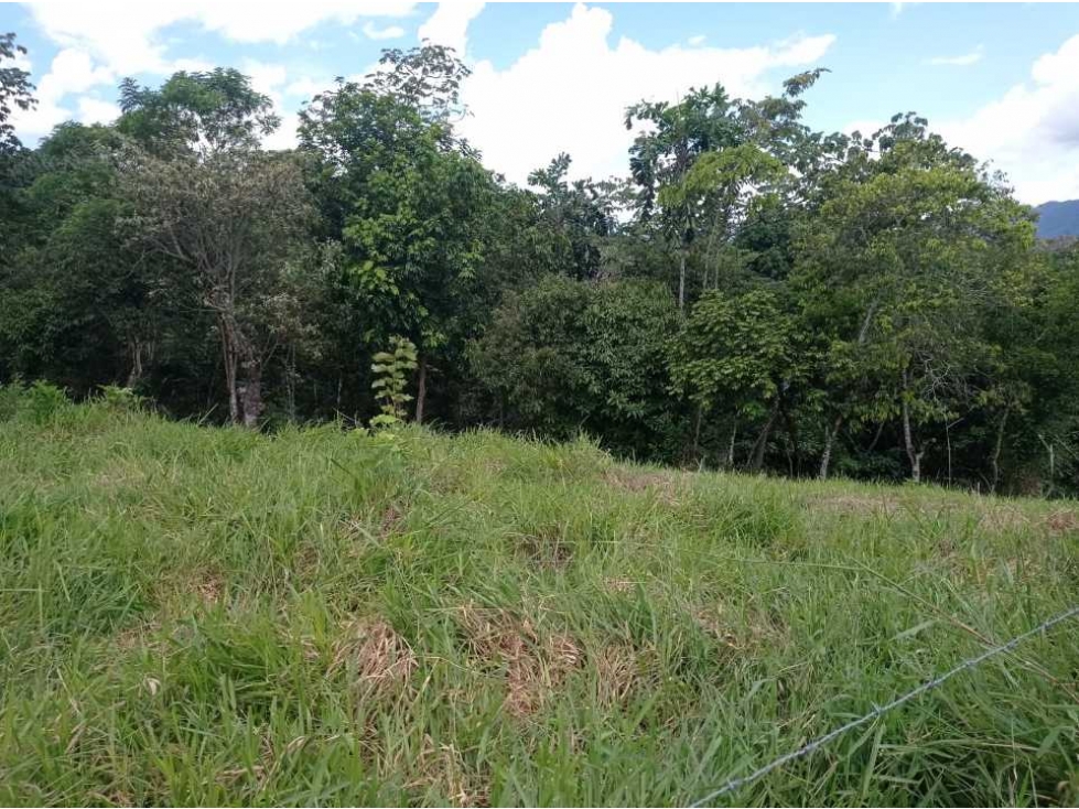 VENCAMBIO LOTE EN SAN JERÓNIMO VEREDA QUIMBAYO - 1