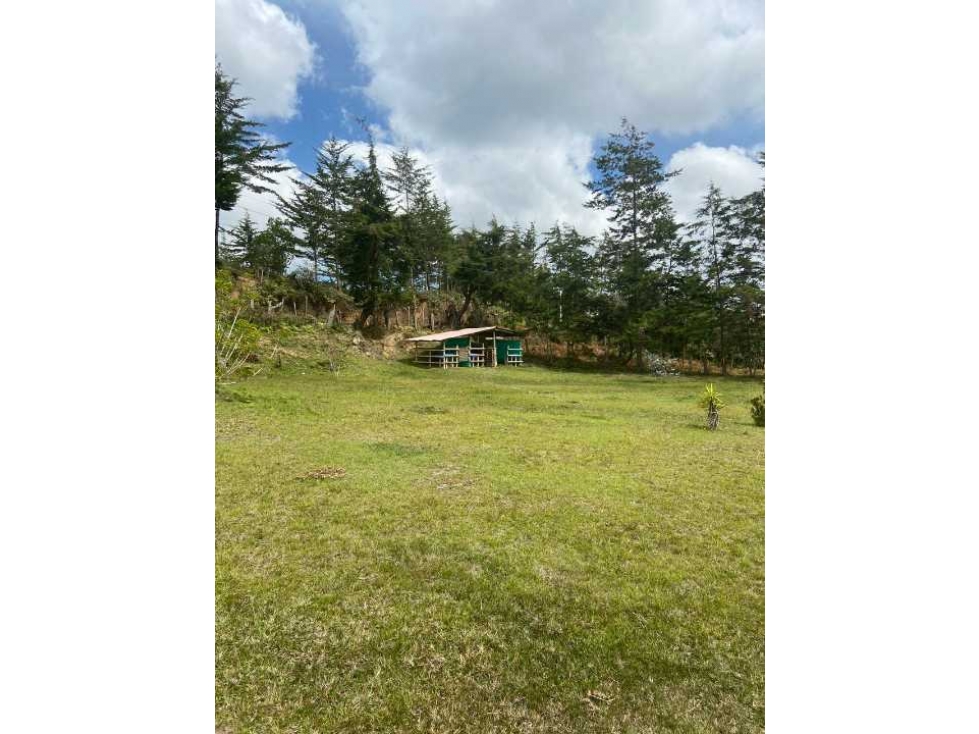 VENTA FINCA SAN VICENTE VEREDA OVEJAS — foto 2