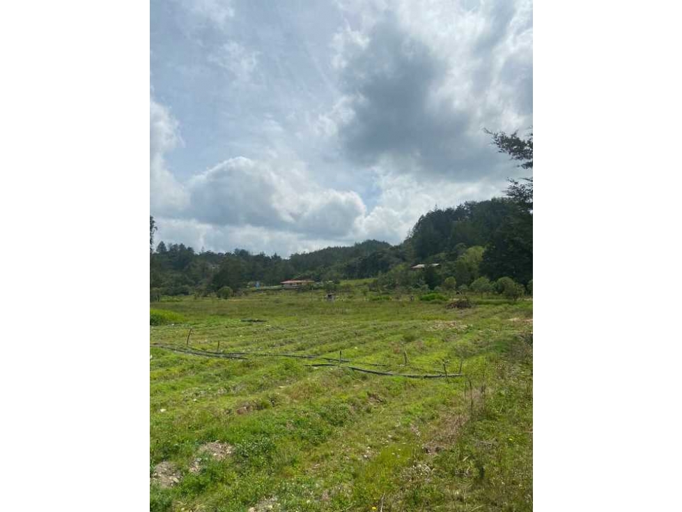 VENTA FINCA SAN VICENTE VEREDA OVEJAS — foto 3