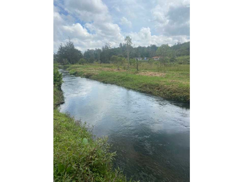 VENTA FINCA SAN VICENTE VEREDA OVEJAS — foto 5
