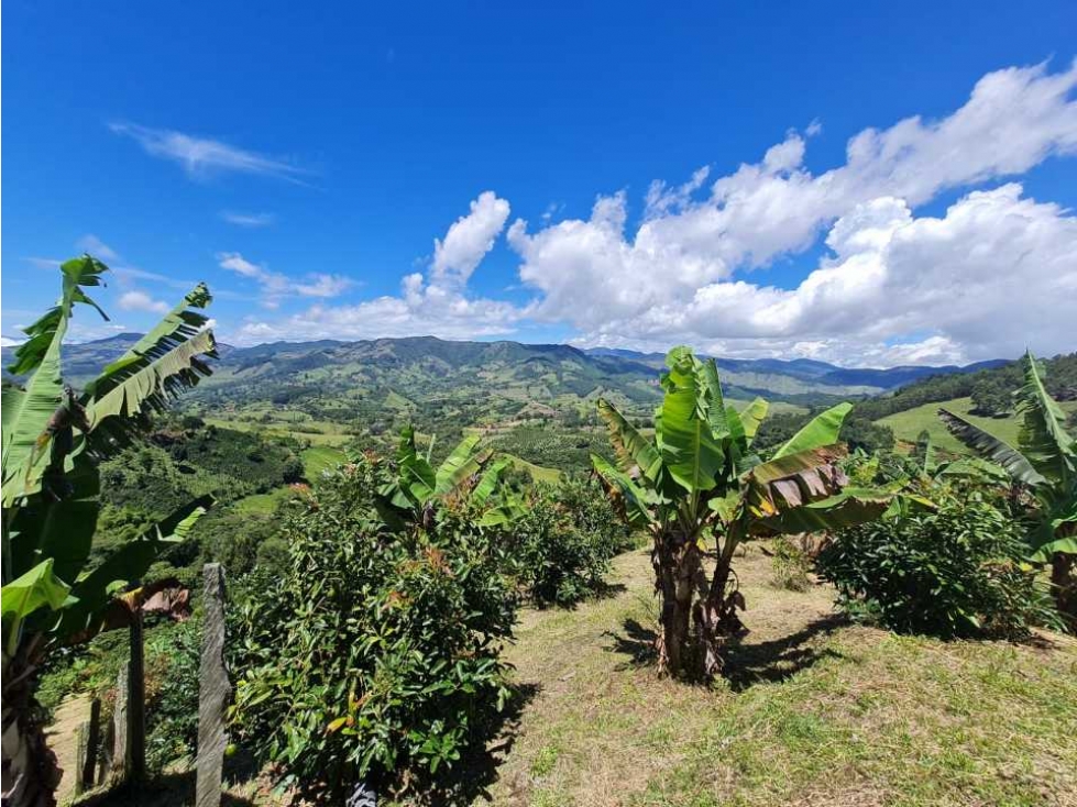 VENTA DE TERRENO EN JERICÓ VEREDA LA PRADERA - 5